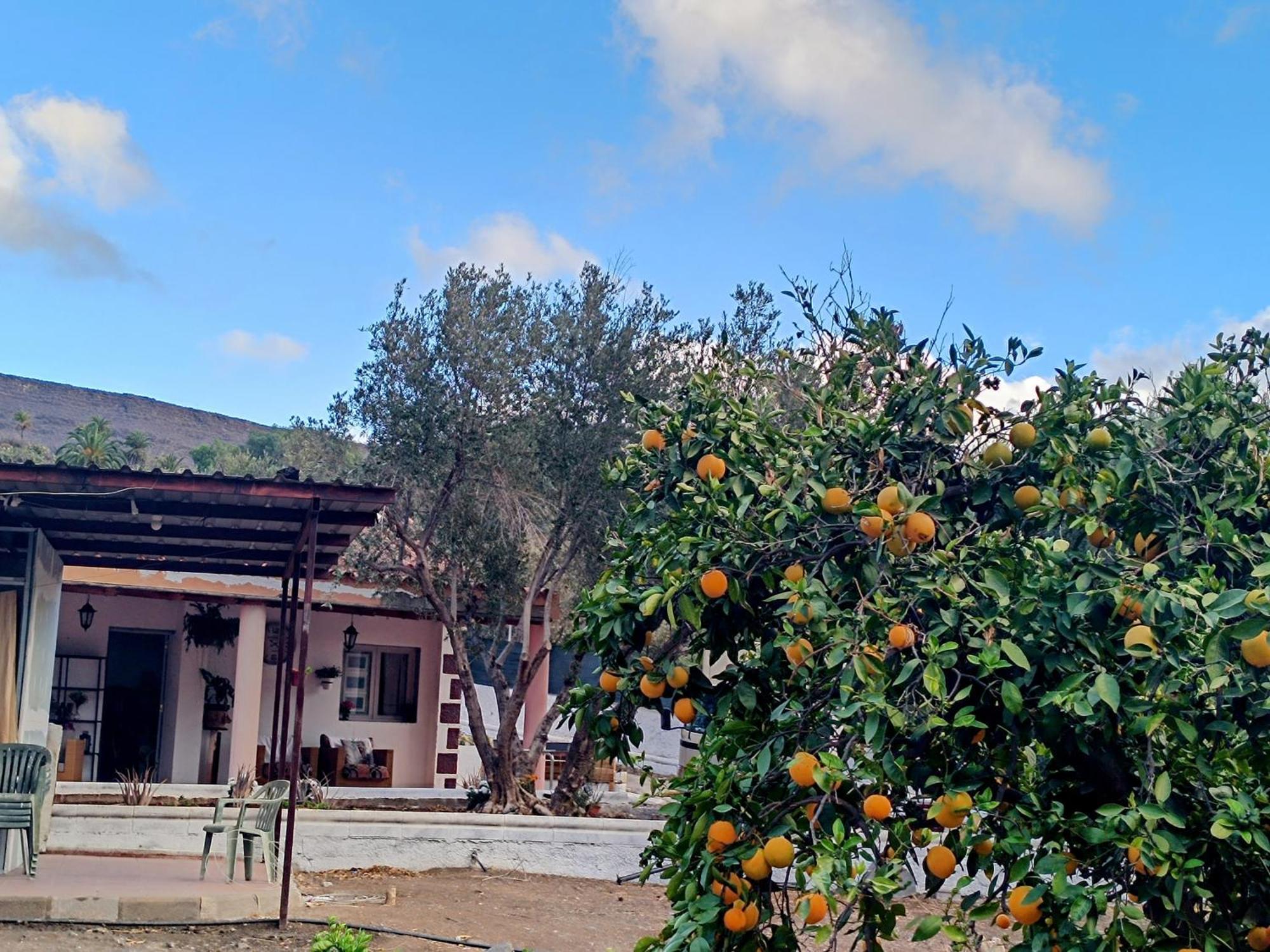 Bed and Breakfast La Casa De La Pradera Santa Lucia De Tirajana Экстерьер фото