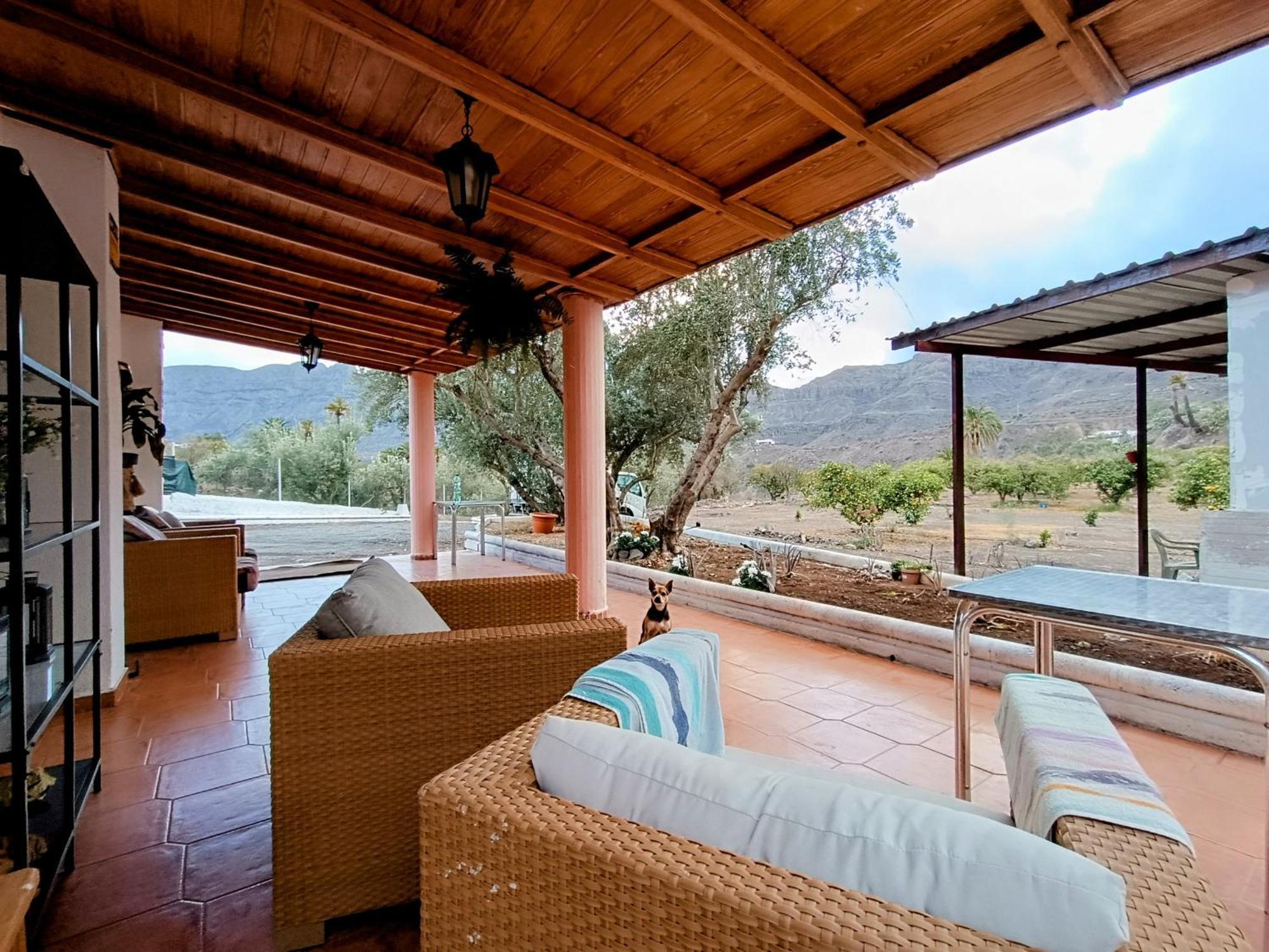 Bed and Breakfast La Casa De La Pradera Santa Lucia De Tirajana Экстерьер фото