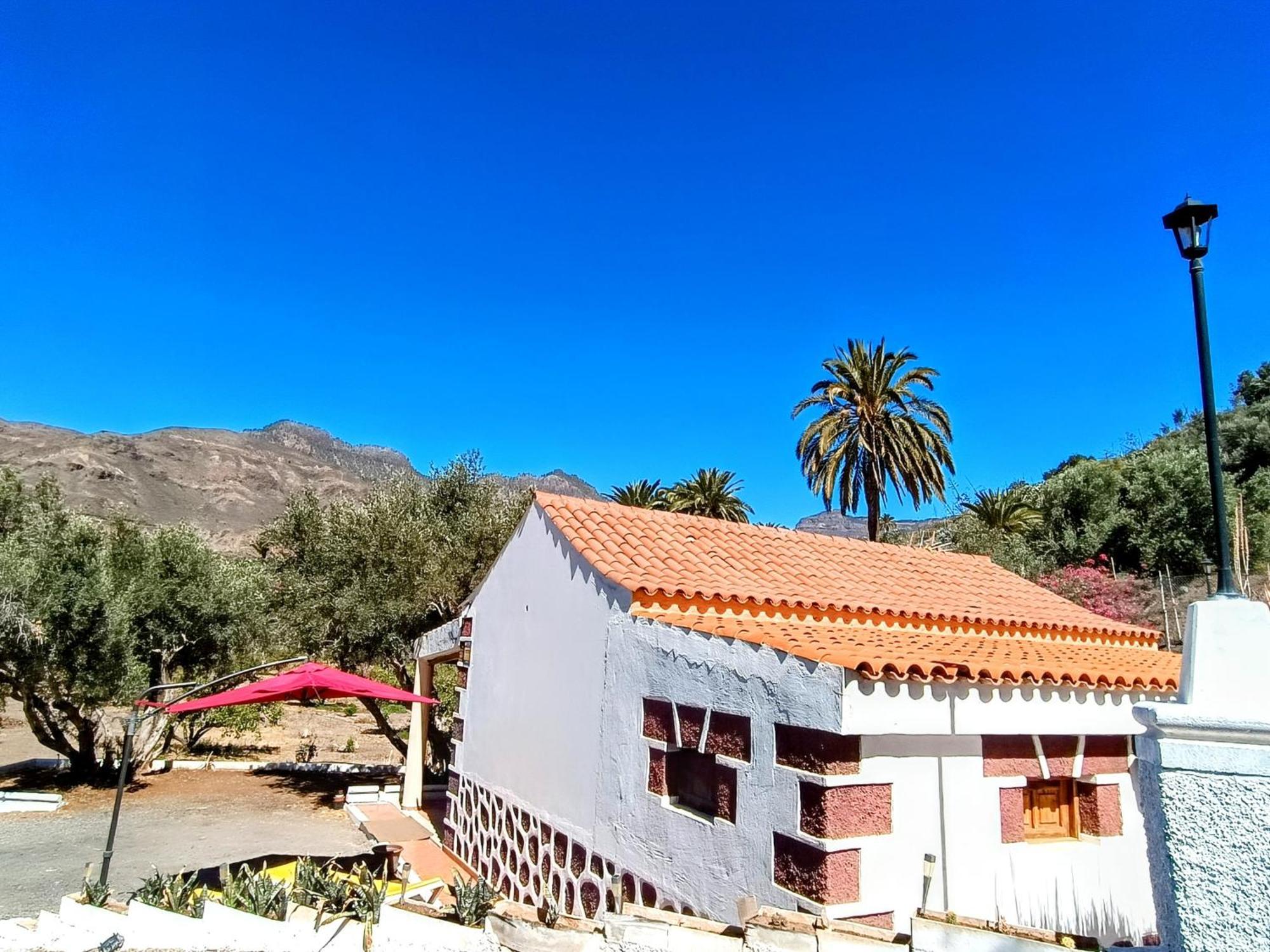 Bed and Breakfast La Casa De La Pradera Santa Lucia De Tirajana Экстерьер фото